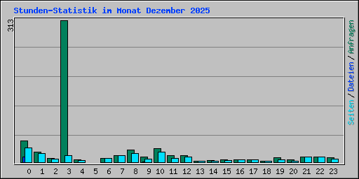 Stunden-Statistik im Monat Dezember 2025