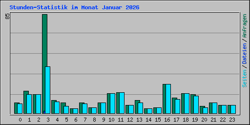 Stunden-Statistik im Monat Januar 2026