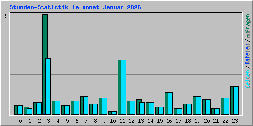 Stunden-Statistik im Monat Januar 2026