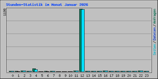 Stunden-Statistik im Monat Januar 2026