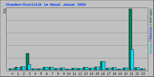 Stunden-Statistik im Monat Januar 2026