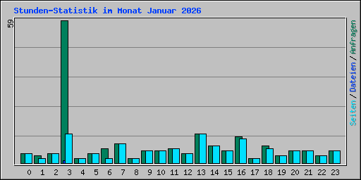 Stunden-Statistik im Monat Januar 2026