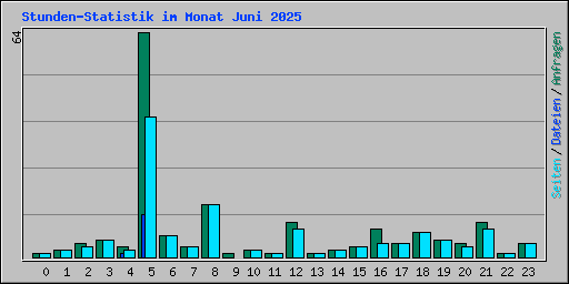 Stunden-Statistik im Monat Juni 2025