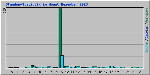 Stunden-Statistik im Monat Dezember 2025
